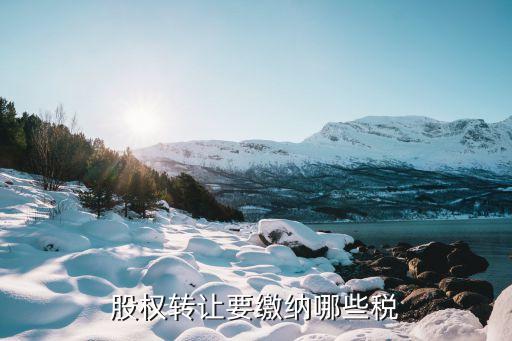 股票轉讓收什么稅，股權轉讓要繳納哪些稅