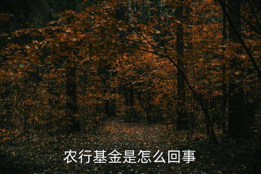 農(nóng)業(yè)銀行基金是什么意思，農(nóng)行基金是怎么回事