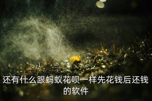 跟花唄一樣的有什么，有什么軟件可以分期購物像花唄一樣
