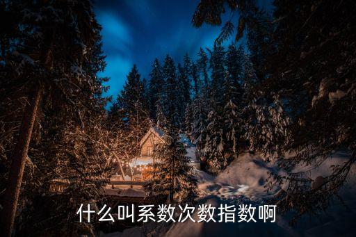 什么叫系數(shù)次數(shù)指數(shù)啊