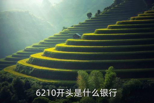 6210開頭是什么銀行