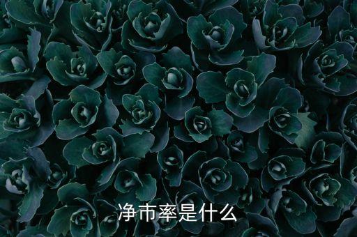凈市率是什么