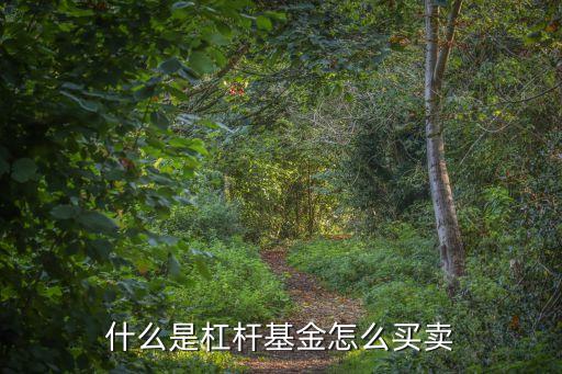什么是杠桿基金怎么買賣