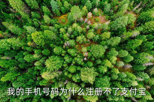 支付寶帳號用什么注冊不了，支付寶怎么注冊不了