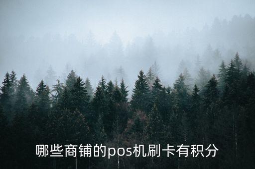 哪些商鋪的pos機(jī)刷卡有積分