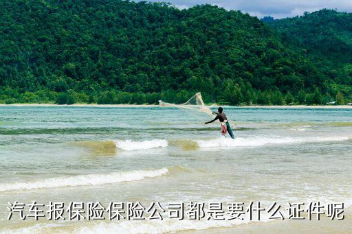 車子出險(xiǎn)要帶什么手續(xù)，車輛維修報(bào)保險(xiǎn)要準(zhǔn)備什么材料