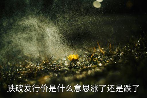 跌破發(fā)行價(jià)是什么意思，躍破發(fā)行價(jià)是什么意思