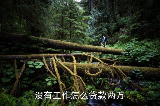 什么都沒(méi)怎么貸2萬(wàn)，無(wú)工作無(wú)房產(chǎn)怎么貸款可以貸2萬(wàn)