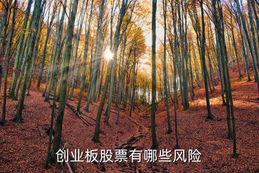 創(chuàng)業(yè)板股票有哪些風險