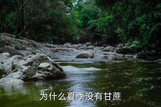 為什么沒有萬用金，為什么夏季沒有甘蔗