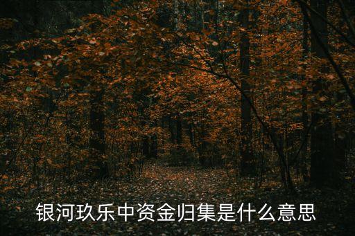 銀河玖樂中資金歸集是什么意思