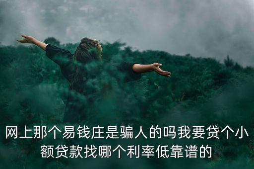 網(wǎng)上那個易錢莊是騙人的嗎我要貸個小額貸款找哪個利率低靠譜的