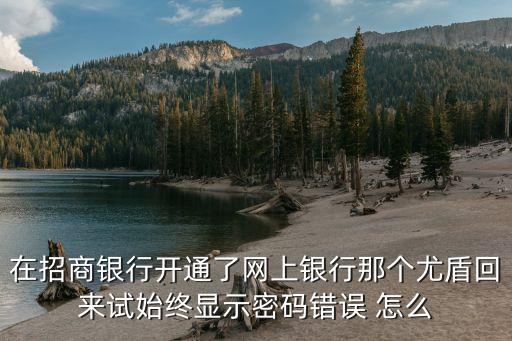 招行網(wǎng)u盾密碼是什么原因，u盾密碼錯(cuò)誤是什么原因