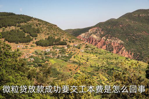 微粒貸放款成功要交工本費(fèi)是怎么回事
