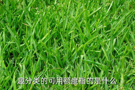 趣分類的可用額度指的是什么