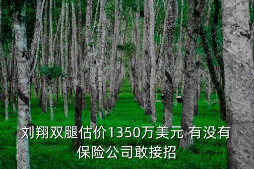 劉翔雙腿估價(jià)1350萬美元 有沒有保險(xiǎn)公司敢接招