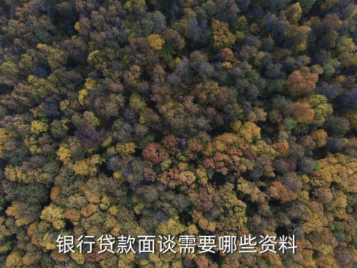 銀行貸款面談需要哪些資料