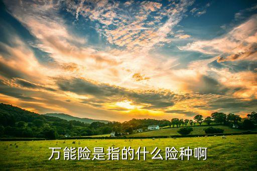 萬(wàn)能險(xiǎn)是指的什么險(xiǎn)種啊