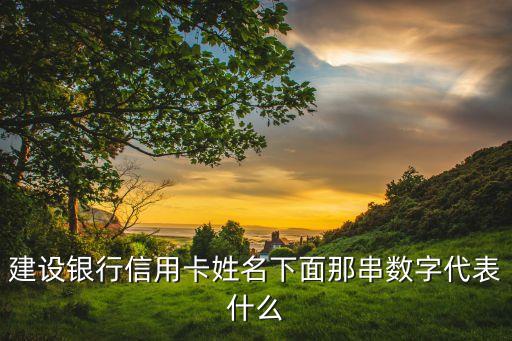 建設(shè)銀行信用卡姓名下面那串?dāng)?shù)字代表什么