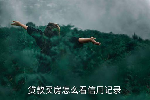 貸款買房怎么看信用記錄