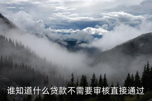 誰知道什么貸款不需要審核直接通過