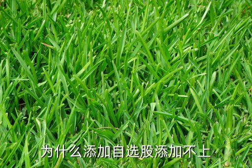 為什么添加自選股添加不上