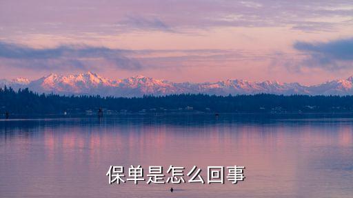 保單是怎么回事