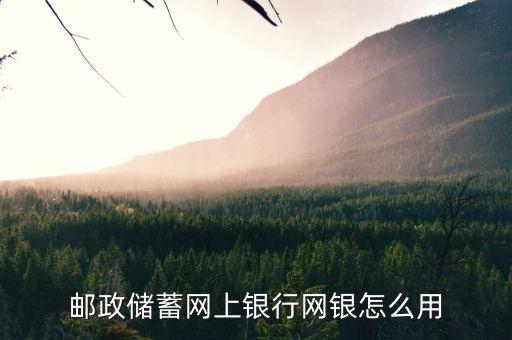 郵政銀行網(wǎng)上銀行怎么用，郵政儲蓄網(wǎng)上銀行網(wǎng)銀怎么用