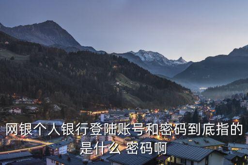 網(wǎng)銀個人銀行登陸賬號和密碼到底指的是什么 密碼啊