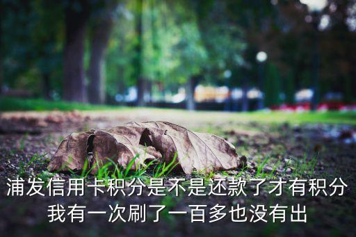 浦發(fā)信用卡積分是不是還款了才有積分我有一次刷了一百多也沒(méi)有出