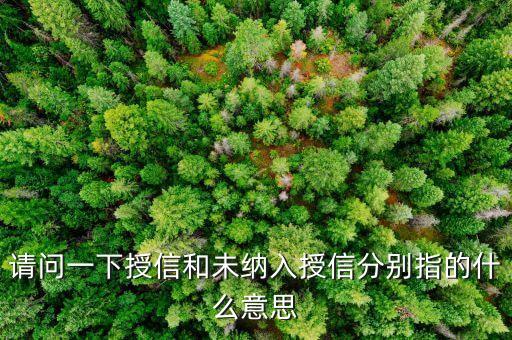 授信支持什么意思，請(qǐng)問(wèn)一下授信和未納入授信分別指的什么意思
