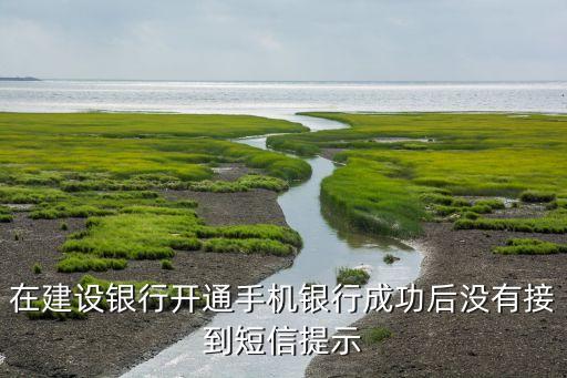 在建設(shè)銀行開通手機(jī)銀行成功后沒有接到短信提示