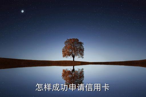 信用卡申卡技巧是什么意思，求網(wǎng)申信用卡技巧詳細點