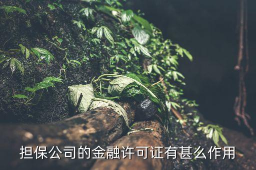 擔(dān)保公司的金融許可證有甚么作用