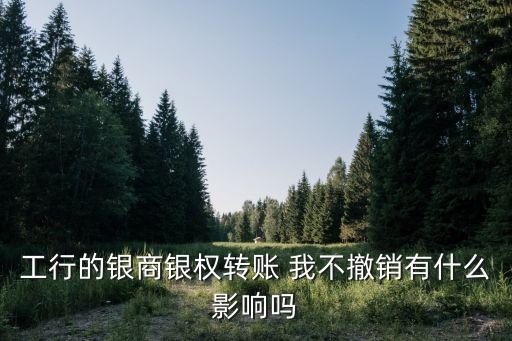 工行的銀商銀權(quán)轉(zhuǎn)賬 我不撤銷有什么影響嗎