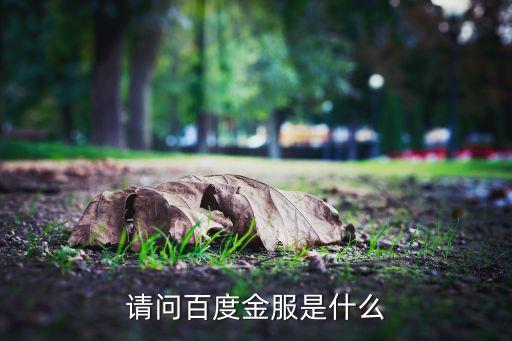 請(qǐng)問(wèn)百度金服是什么