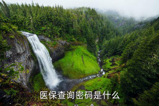 醫(yī)?？ㄓ囝~密碼是什么，西寧醫(yī)?？ǖ拿艽a是多少