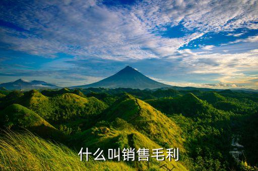 什么叫銷售毛利