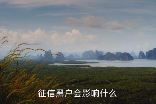 征信黑戶會影響什么