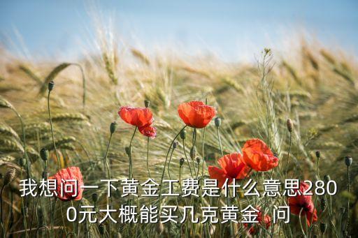 黃金工藝費(fèi)是什么意思，買黃金首飾的時(shí)候上面有一項(xiàng)收費(fèi)寫的是工值是什么意思啊