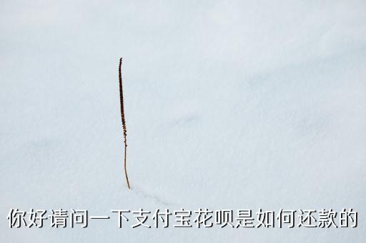 你好請問一下支付寶花唄是如何還款的