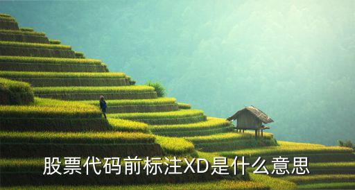 股票前面的xd是什么意思，股票XD是什么意思的