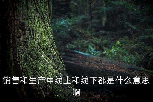 銷售和生產(chǎn)中線上和線下都是什么意思啊