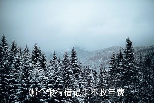 哪個(gè)銀行借記卡不收年費(fèi)