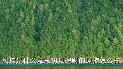平臺風控是什么東西，花唄風控了是什么意思
