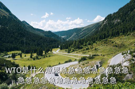 WTO是什么意思急急急急急急急急急急急急急急急急急急急急急急