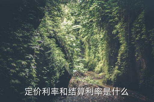 定價(jià)利率和結(jié)算利率是什么
