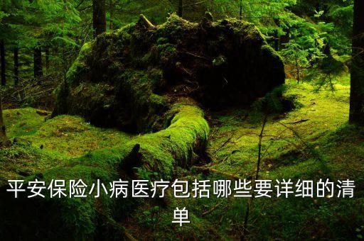 平安保險小醫(yī)療是什么，平安保險的小病醫(yī)療交15年管終生嗎