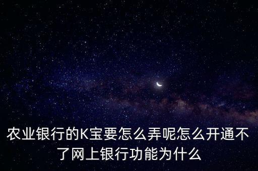 農(nóng)業(yè)銀行的K寶要怎么弄呢怎么開通不了網(wǎng)上銀行功能為什么