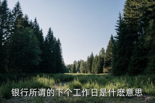 銀行所謂的下個工作日是什麼意思
